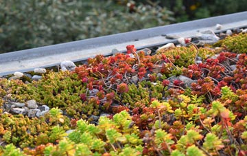 the cost of Bessingham green roof installation