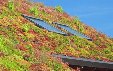 Bessingham living roof systems